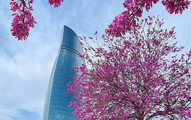 Martda hava necə olacaq?