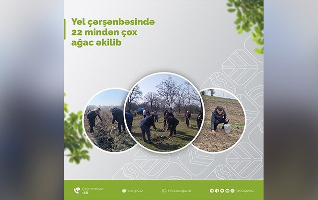 Yel çərşənbəsində 22 mindən çox ağac əkilib