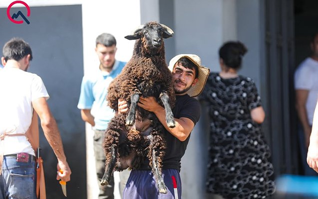 Qurbanlıq heyvanlar bu şərtlərlə kəsilməlidir