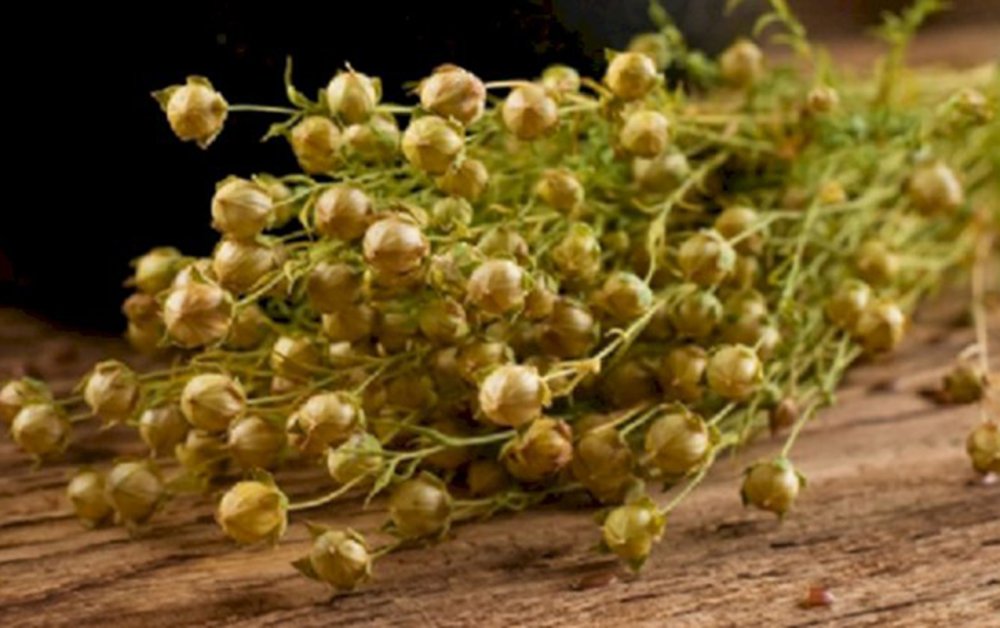 Üzərliklə bağlı daha bir - Xəbərdarlıq